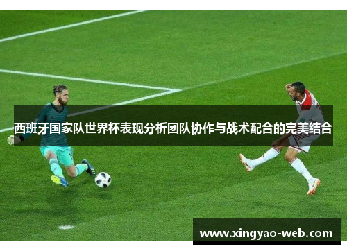 西班牙国家队世界杯表现分析团队协作与战术配合的完美结合
